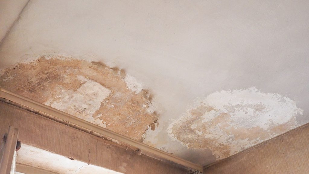 Total Damp Repair Damp Proofing Specialists in London