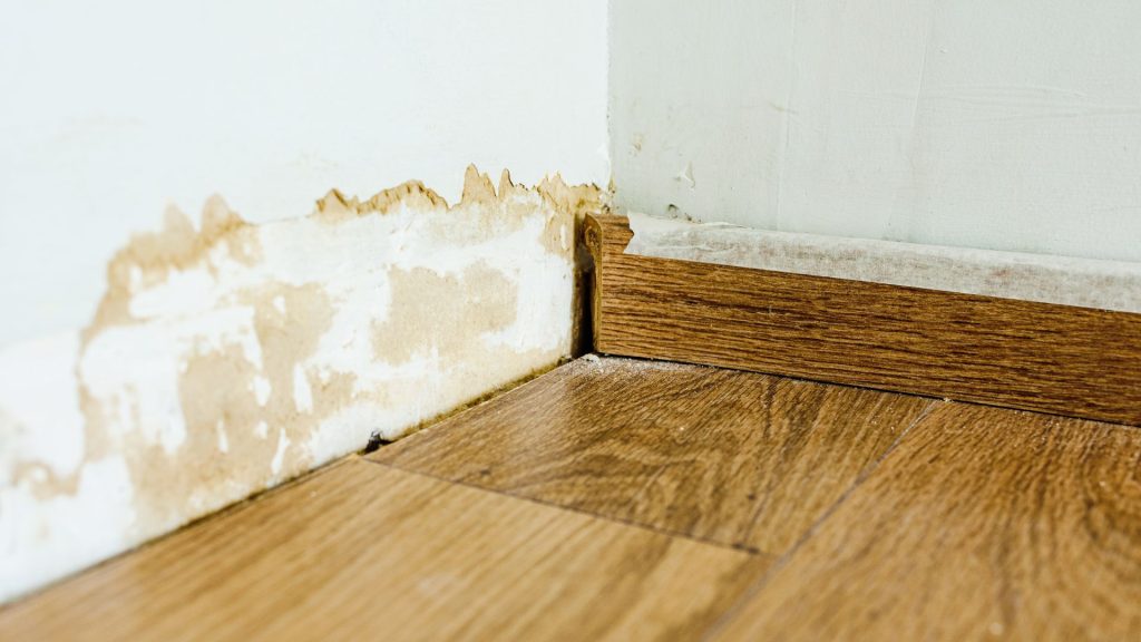 Peeling paint and wall damage caused by rising damp near floor level