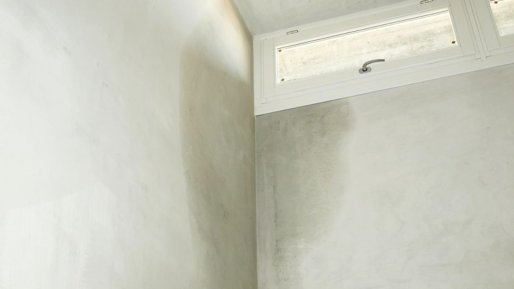 Condensation and damp staining on upper wall in older North London property